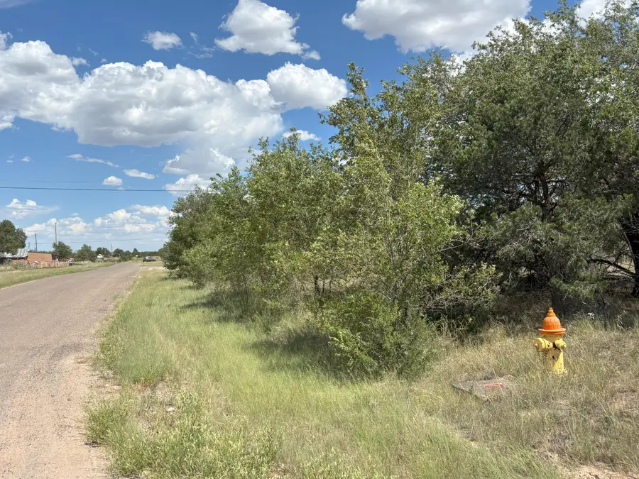 602 Corbett Avenue, Mountainair, NM 87036 - #2