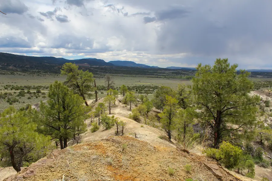TBD 200 County Rd 13 Road, Cuba, NM 87013 - #3