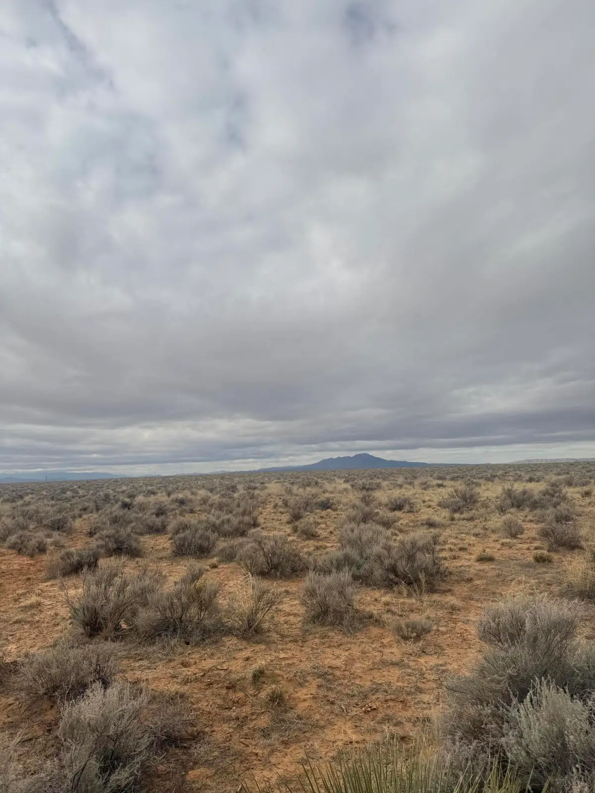 Lot 10 Off Balsam Circle, Rio Communities, NM 87002 - #1