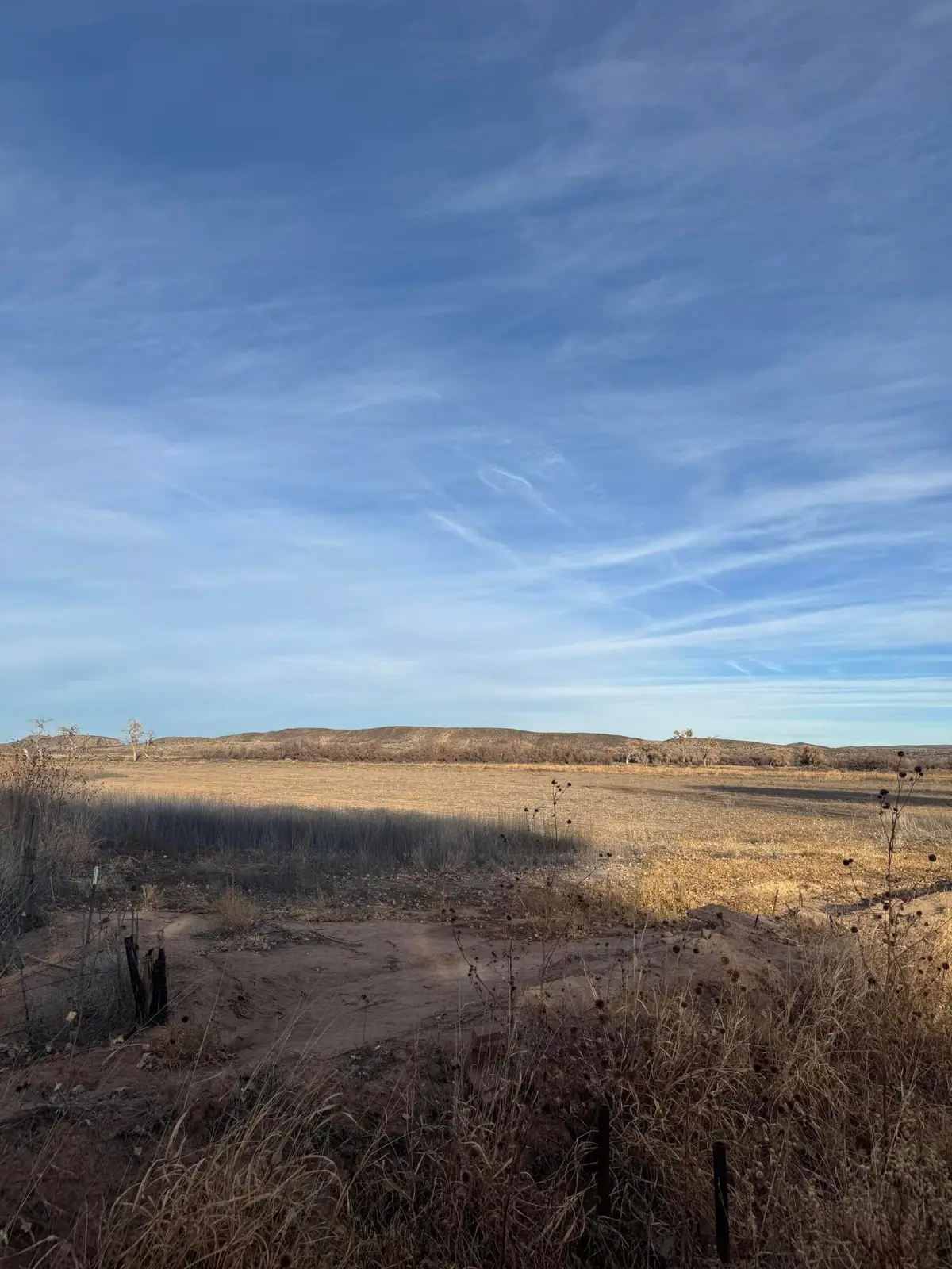 13.47ACRES Hemingway Loop, San Acacia, NM 87831 - #1