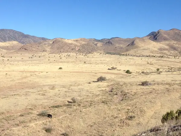 Lot 103 Rolling Hills, , NM 87832