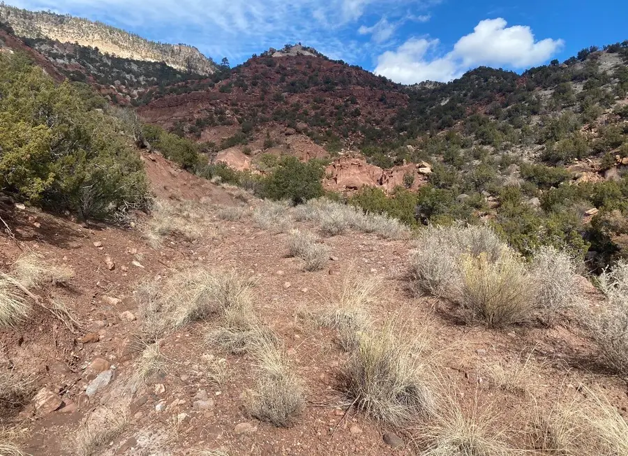 Lands Of Green Maggie Lot 2, Jemez Springs, NM 87025 - #3