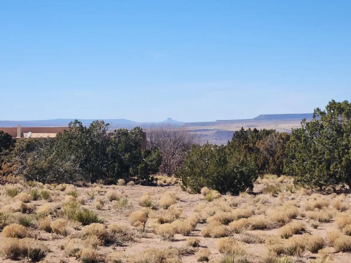 Palomar Road - Lot 23, Placitas, NM 87043 - #1