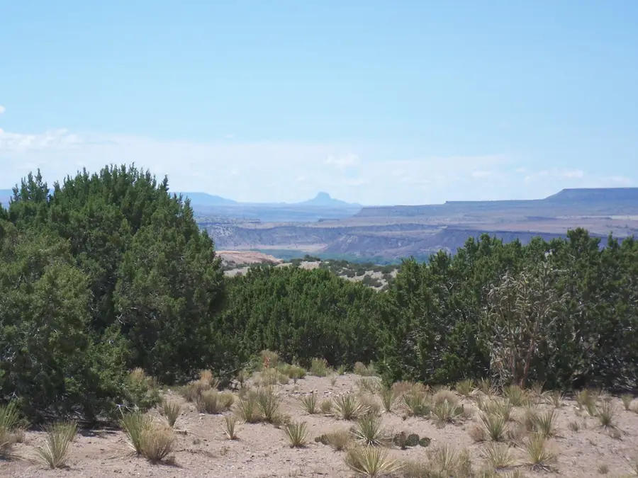Palomar Road - Lot 23, Placitas, NM 87043 - #2