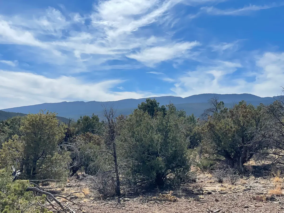 91 Rain Dance Road, Sandia Park, NM 87047 - #1