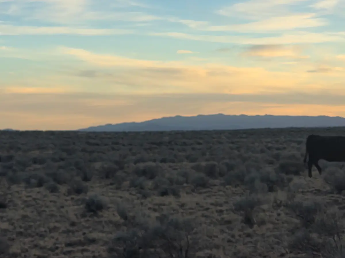 VL Rge Lot: 25 Block: 720 #B, Belen, NM 87002 - #1