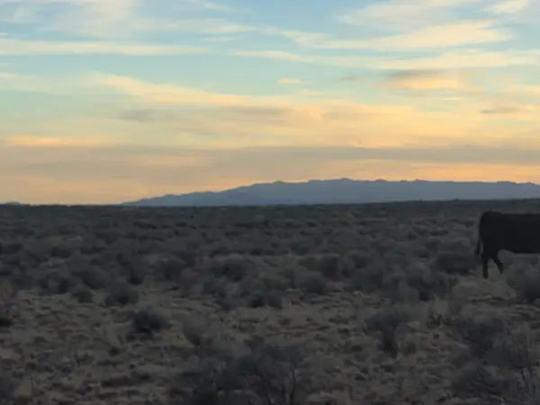 VL Rge Lot: 25 Block: 720 #B, Belen, NM 87002