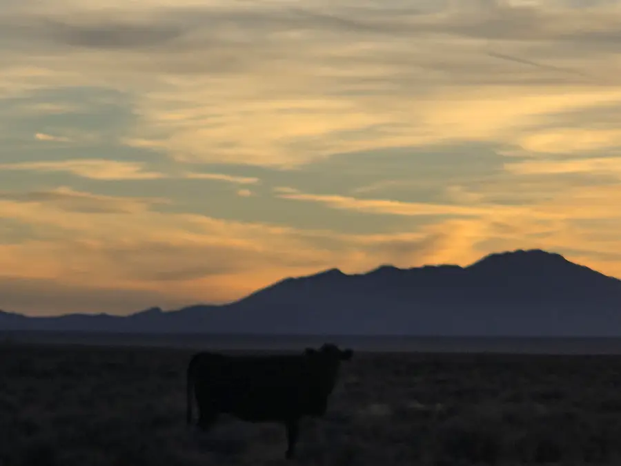 VL Rge Lot 91 Block 733 #B, Belen, NM 87002 - #3