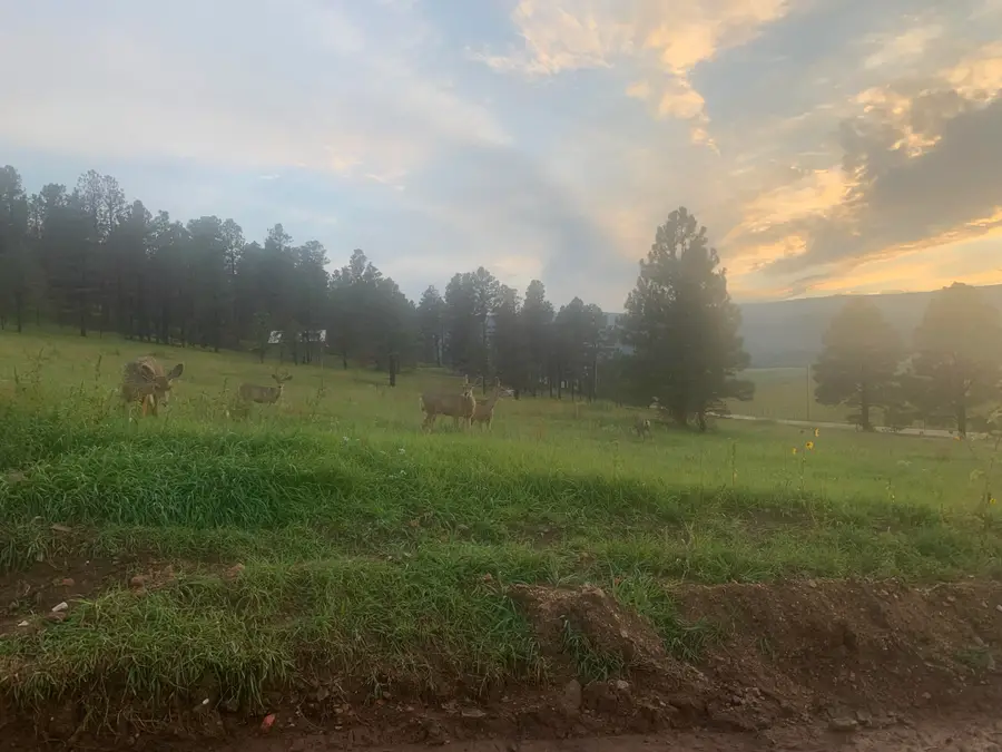 228 Cumbre Road, Rociada, NM 87742 - #2