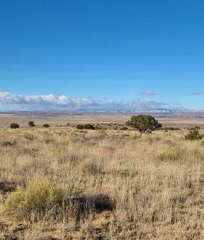 Tren Lot 2 Road, Los Lunas, NM 87031 - #2
