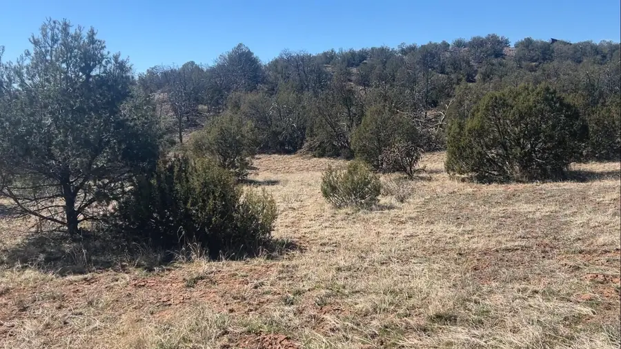 63 Jennifer Drive, Sandia Park, NM 87047 - #3