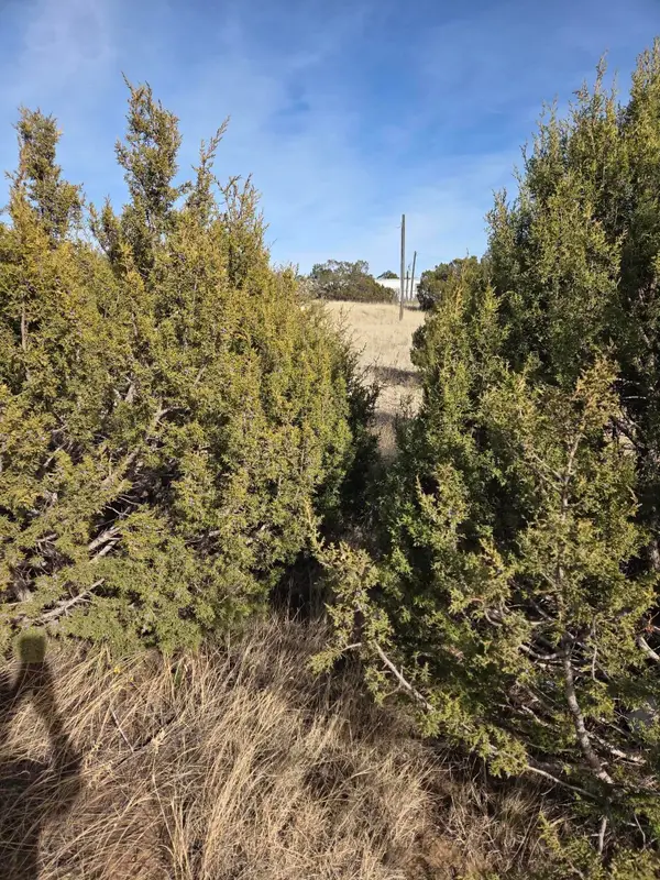 10 Glacier Trail, Edgewood, NM 87015