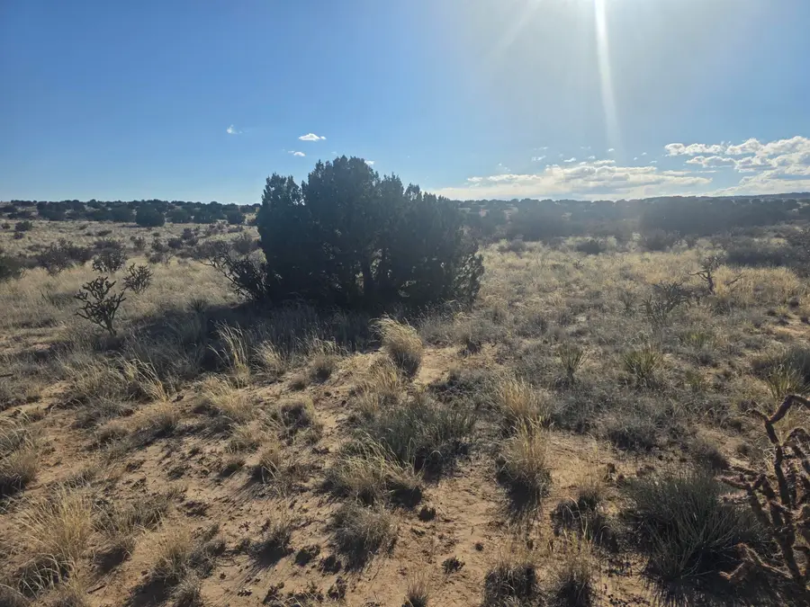 6457 Galway Road Ne, Rio Rancho, NM 87144 - #3