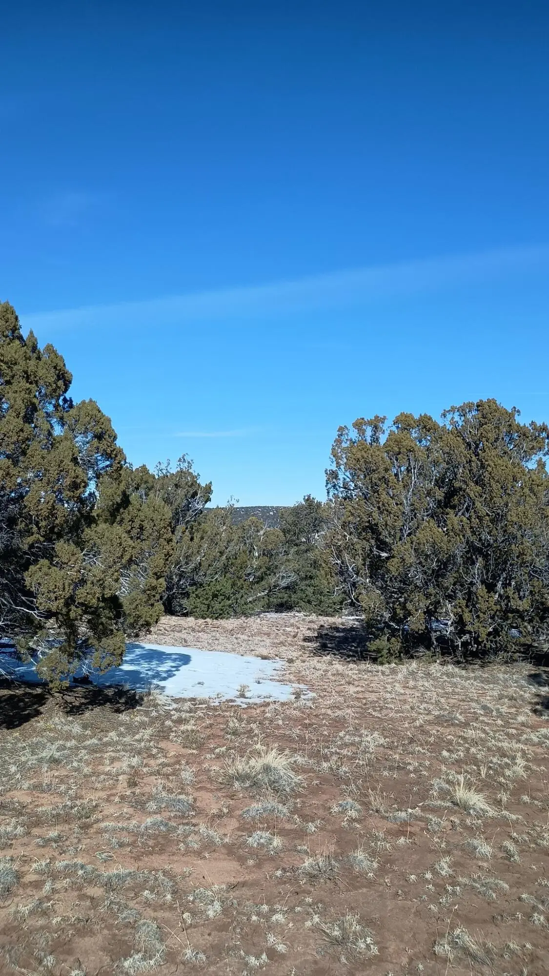 Deer Run Trail, Pie Town, NM 87827 - #1