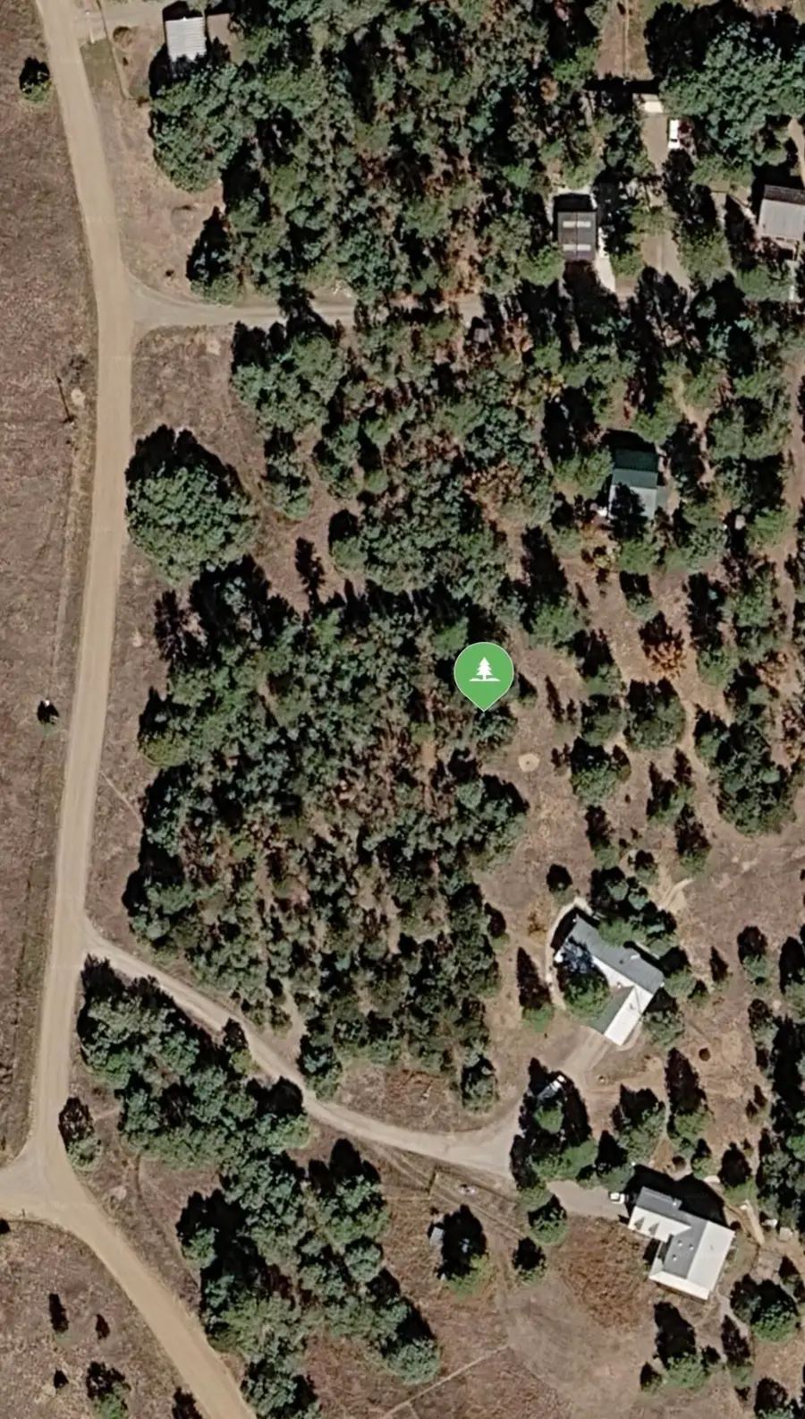 31 Sparrow Lane, Tijeras, NM 87059 - #3