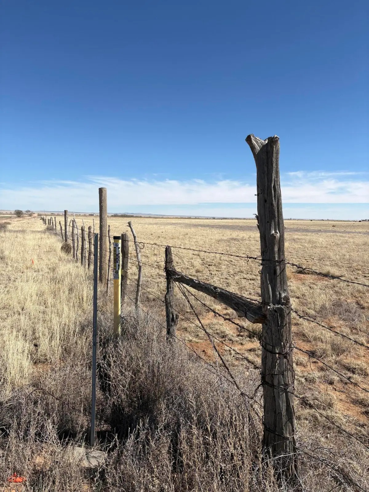 Dorthea, Moriarty, NM 87035 - #1