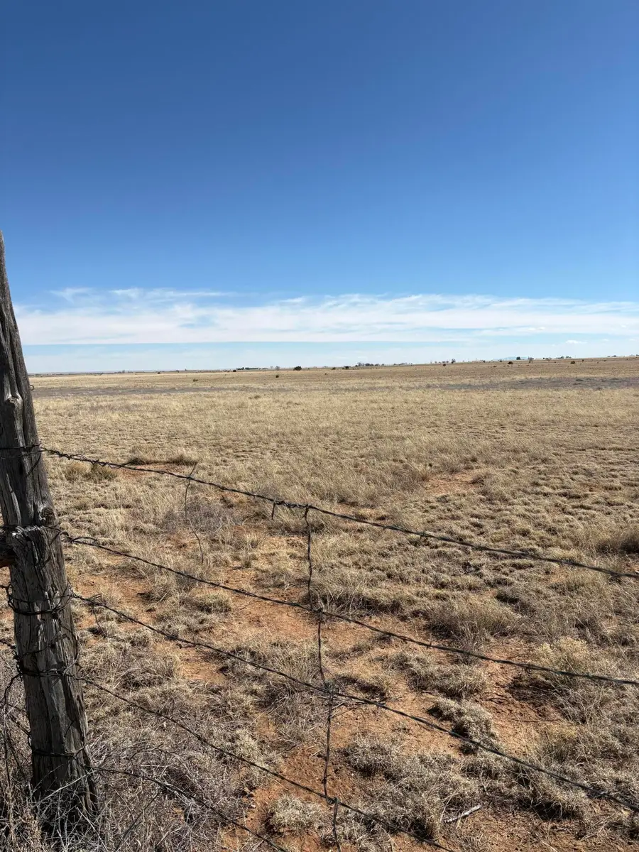 Dorthea, Moriarty, NM 87035 - #2