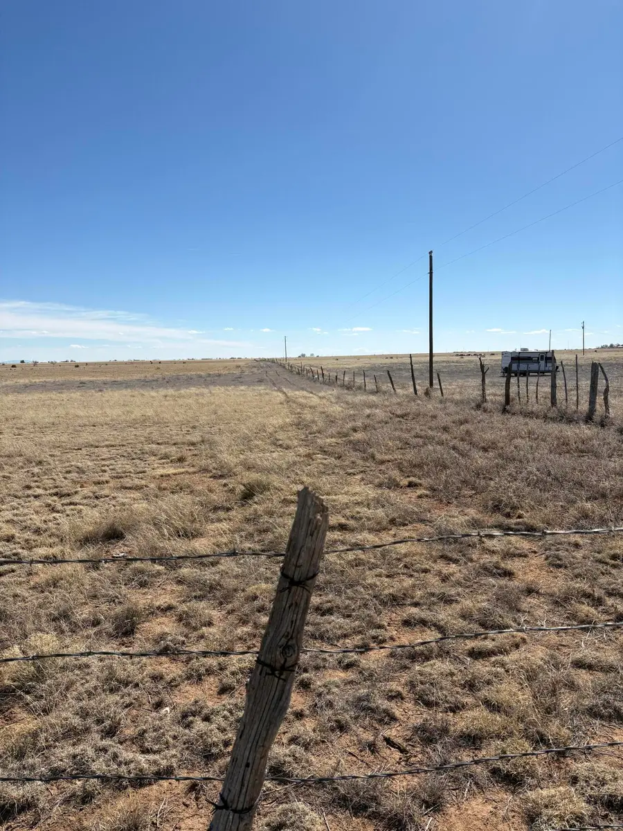 Dorthea, Moriarty, NM 87035 - #3