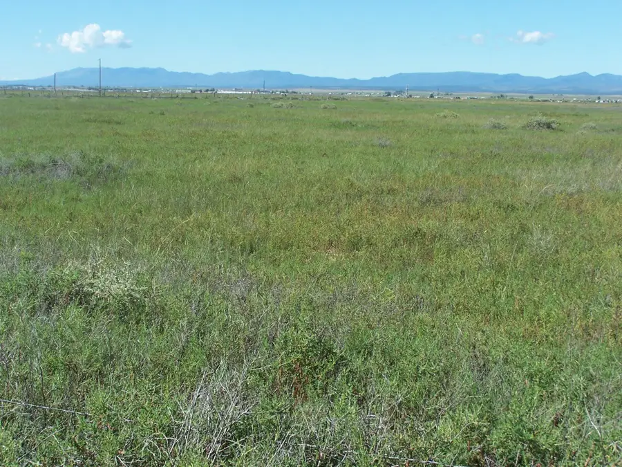 C. Del Sol A081/mulberry A146, McIntosh, NM 87032 - #3