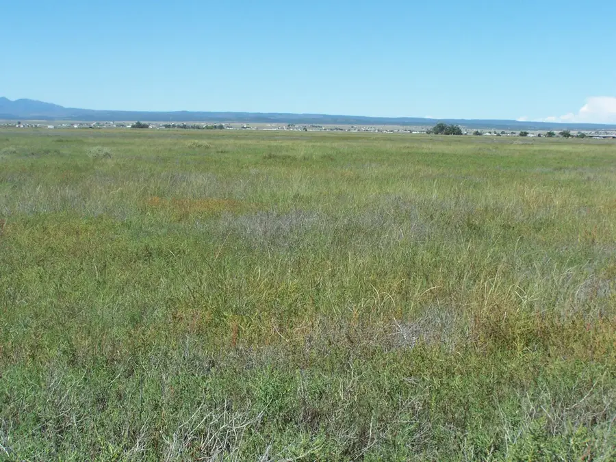 C. Del Sol A081/mulberry A146, McIntosh, NM 87032 - #2