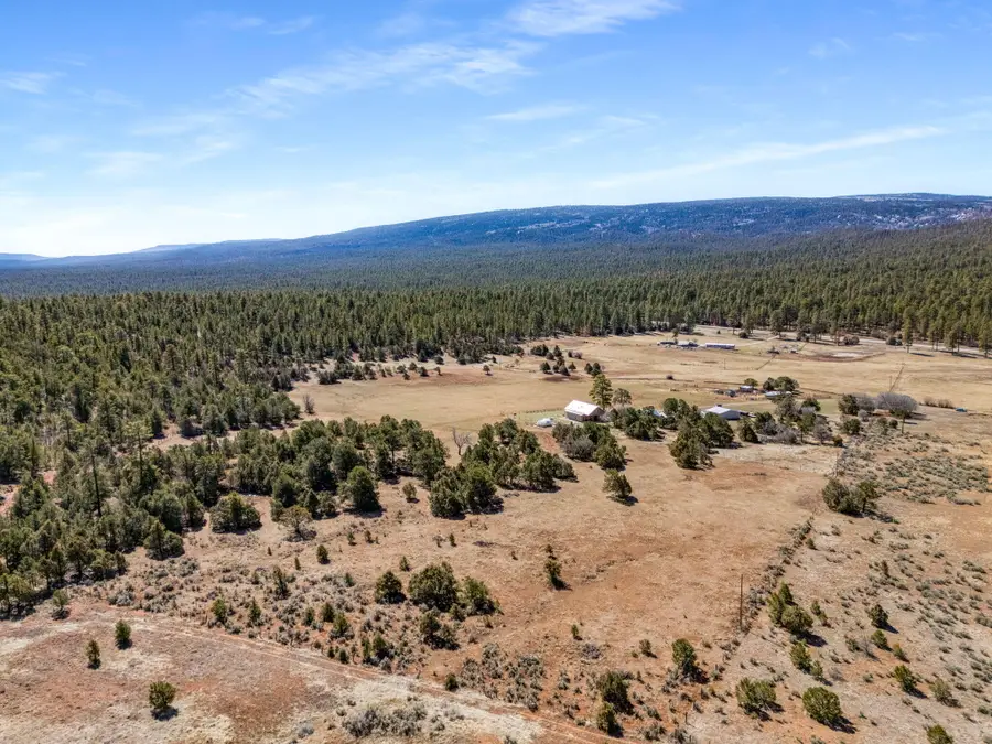 2279A New Mexico 96, Gallina, NM 87017 - #3