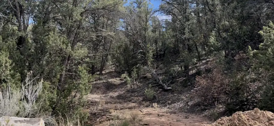 26 Lindsey Lane, Tijeras, NM 87059 - #2