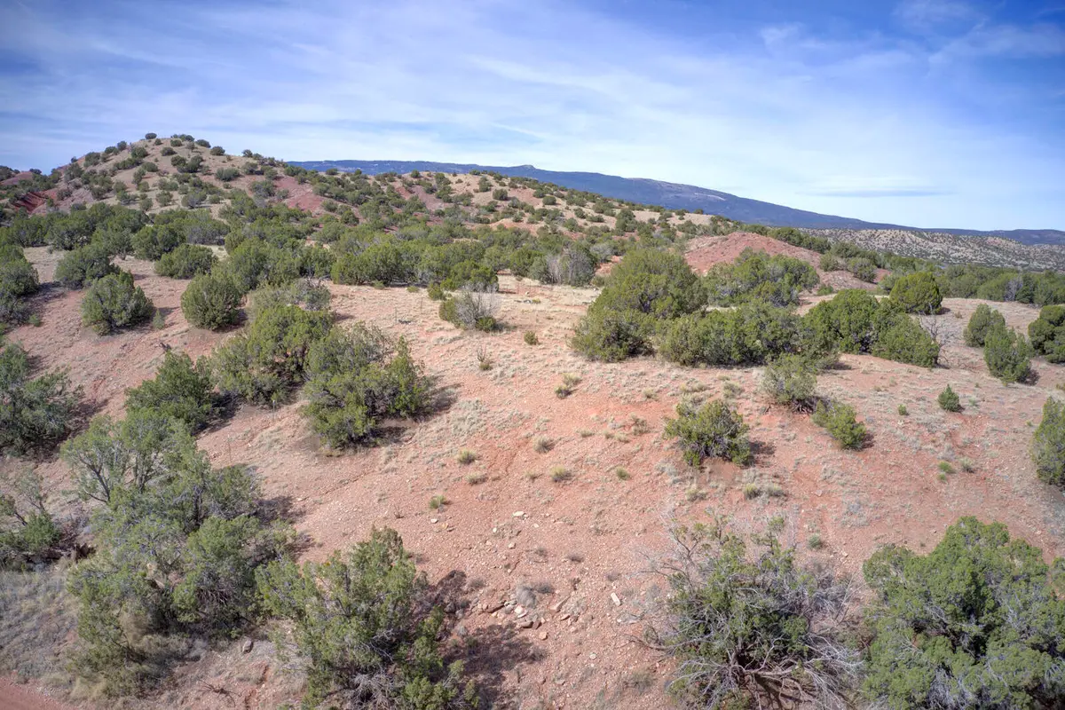 Demetrio Road, Sandia Park, NM 87047 - #1