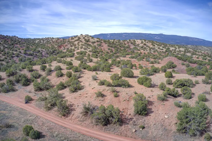 Demetrio Road, Sandia Park, NM 87047 - #2