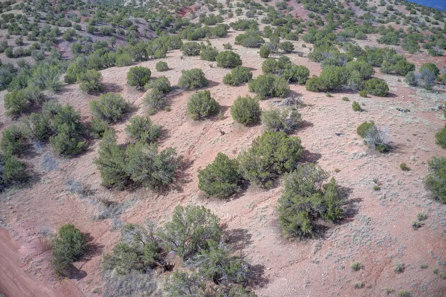 Demetrio Road, Sandia Park, NM 87047 - #3