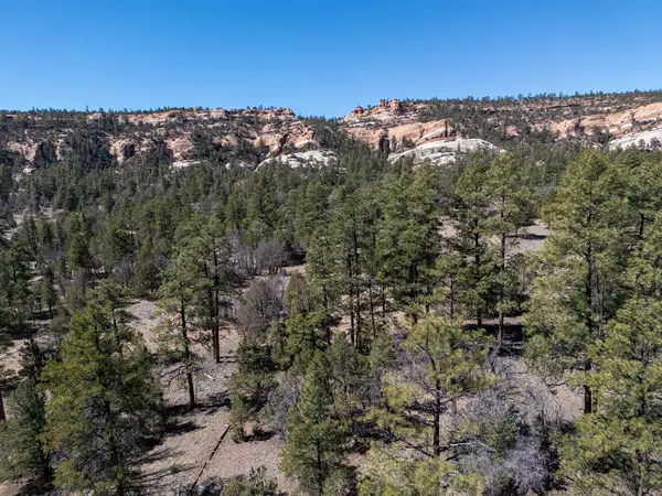 4-5 W Lobo Drive, Ramah, NM 87321