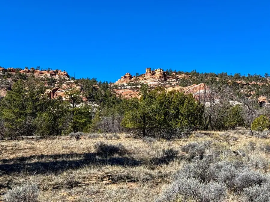 4-5 W Lobo Drive, Ramah, NM 87321 - #3