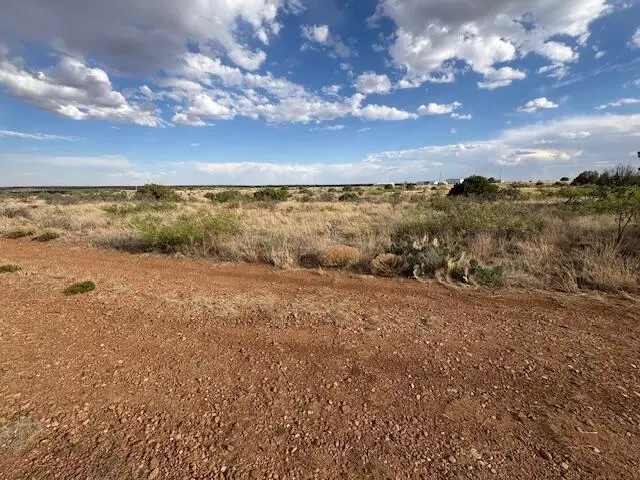 Lot 66 Pheasant Lane, Fort Sumner, NM 88119 - #1