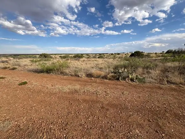Lot 66 Pheasant Lane, , NM 88119