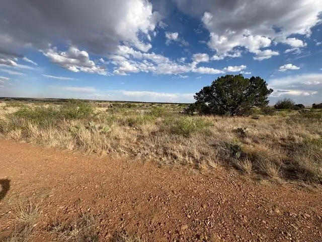 Lot 66 Pheasant Lane, Fort Sumner, NM 88119 - #2