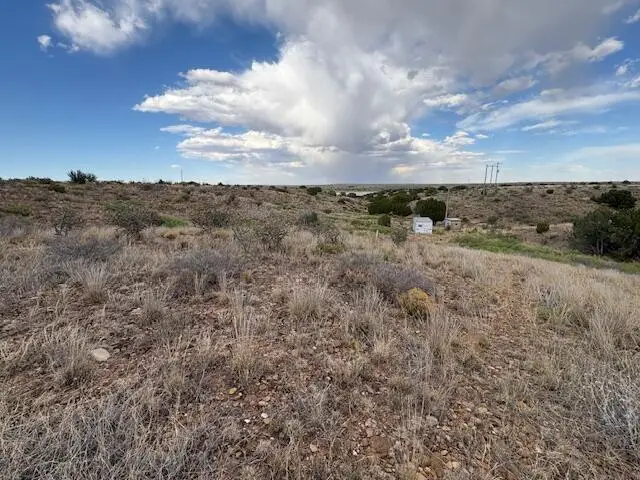 Lot 66 Pheasant Lane, Fort Sumner, NM 88119 - #3
