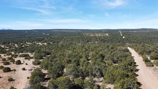 Mccomb Road #Tract AA, Edgewood, NM 87015 - #1