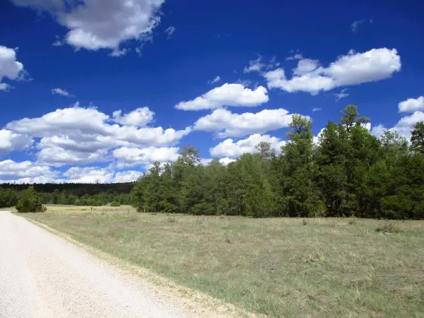 Lot 5 Copperweed Road, Ramah, NM 87321