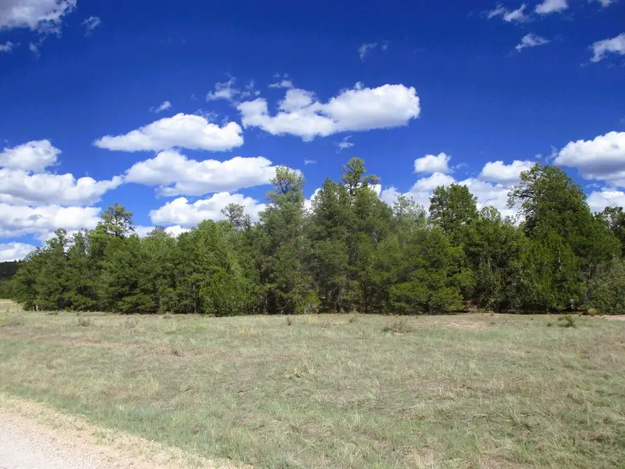 Lot 5 Copperweed Road, Ramah, NM 87321 - #2