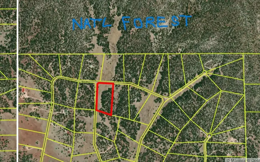 Lot 5 Copperweed Road, Ramah, NM 87321 - #3