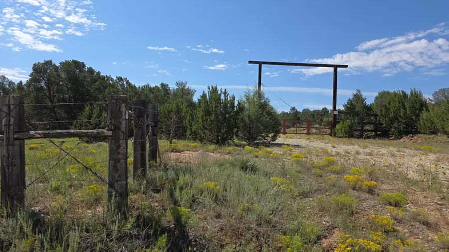 92 La Miga Canyon Road, Estancia, NM 87016 - #3