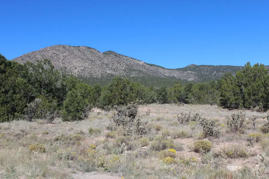19 Camino Monte Azul, Edgewood, NM 87015 - #3