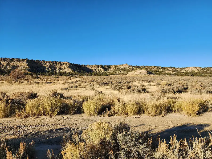 0 Banco Road, La Jara, NM 87027 - #2