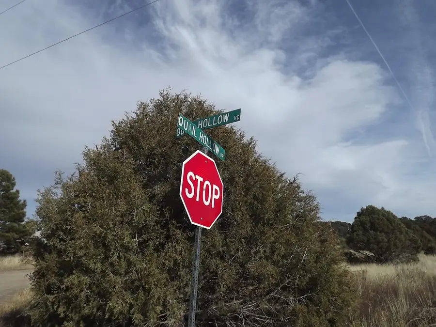 38 Quail Hollow Road, Tijeras, NM 87059 - #3