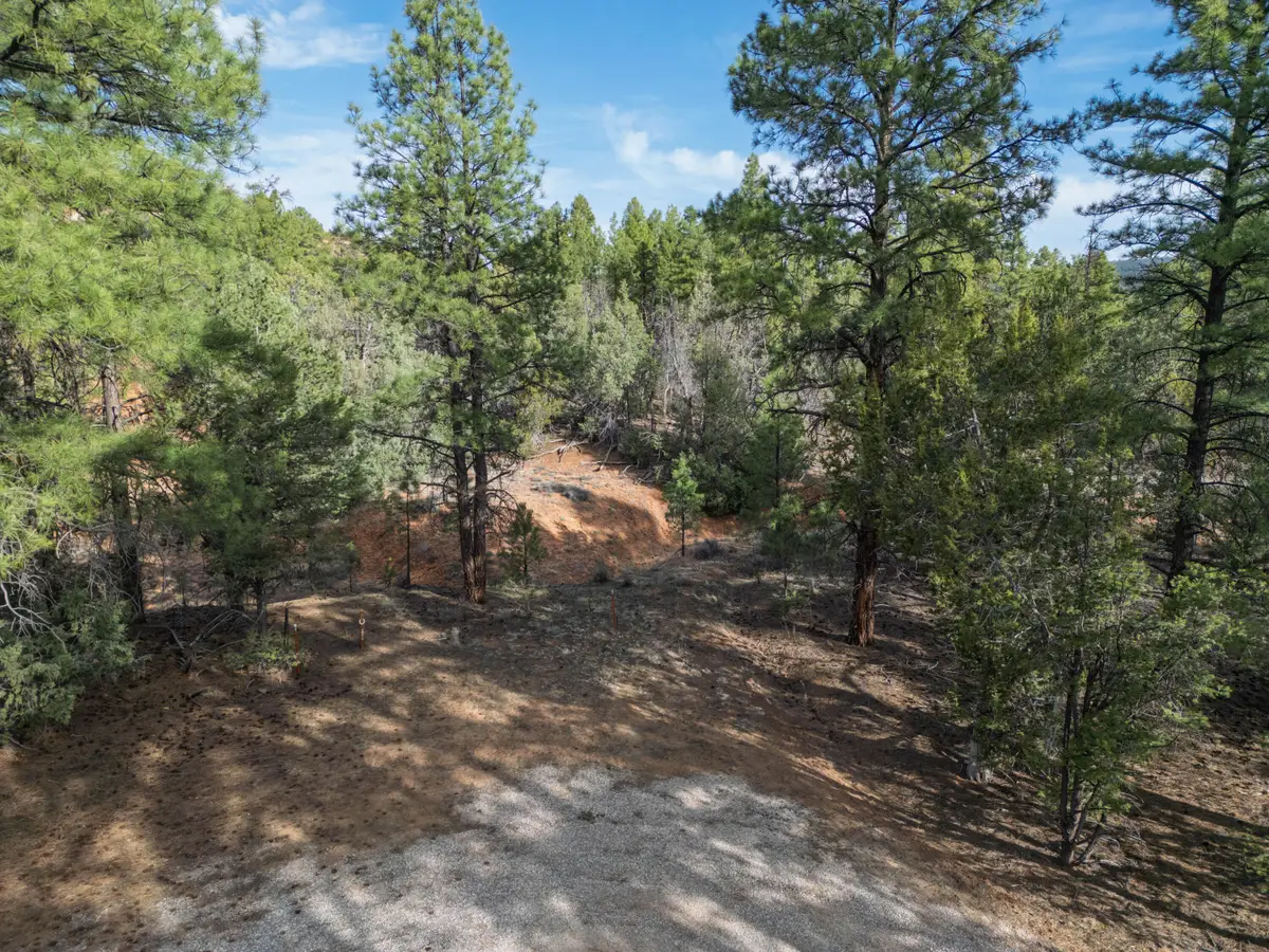 Elk W Elk Drive #44 and 45, Ramah, NM 87321 - #1