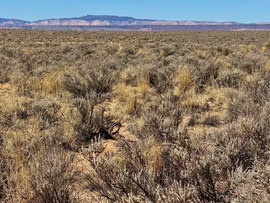 S: 36 T: 7n R: 1w Lot 17, Los Lunas, NM 87031 - #2