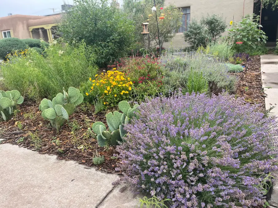 1208 Lead Avenue Sw, Albuquerque, NM 87102 - #2