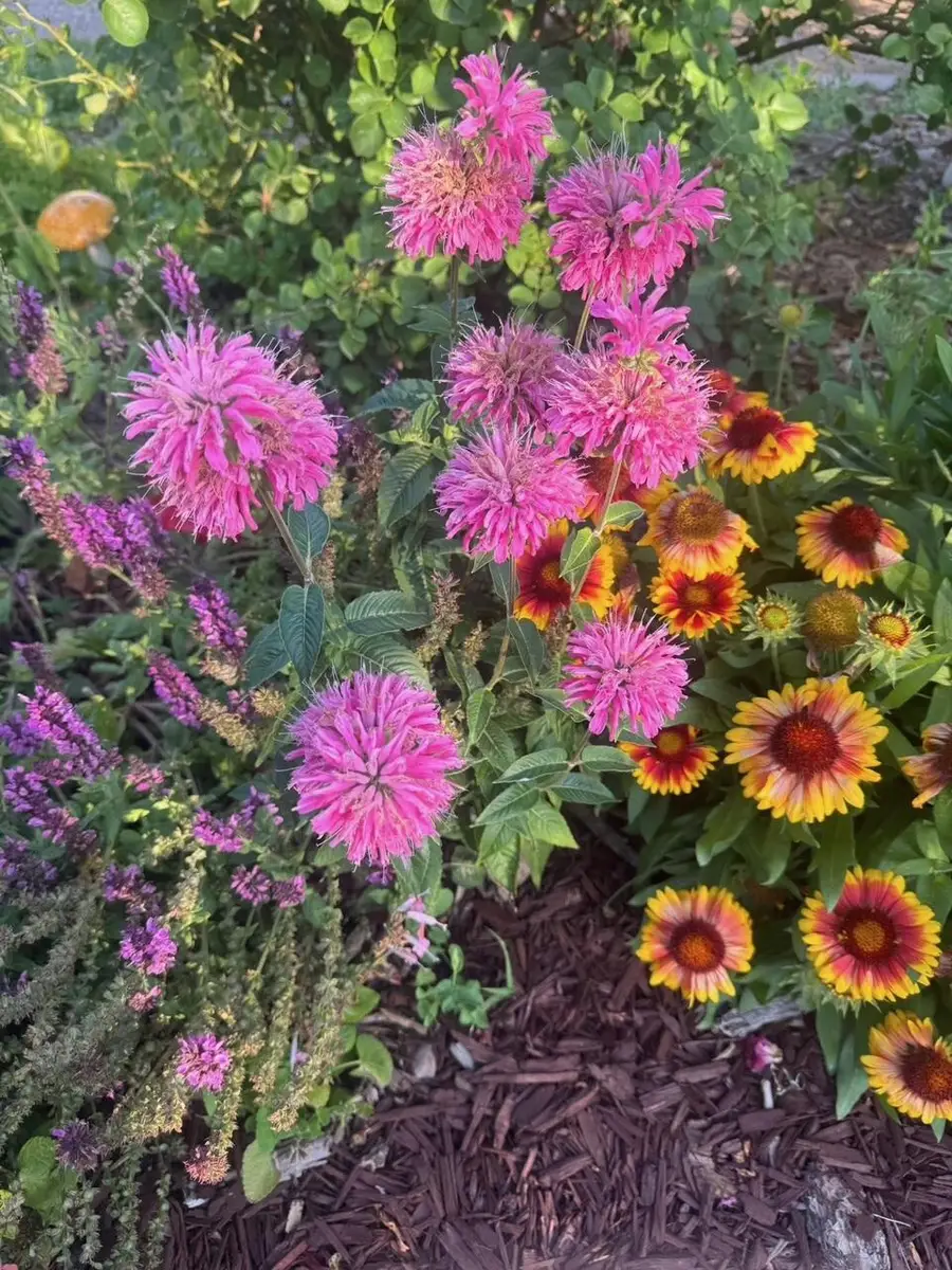 1208 Lead Avenue Sw, Albuquerque, NM 87102 - #3