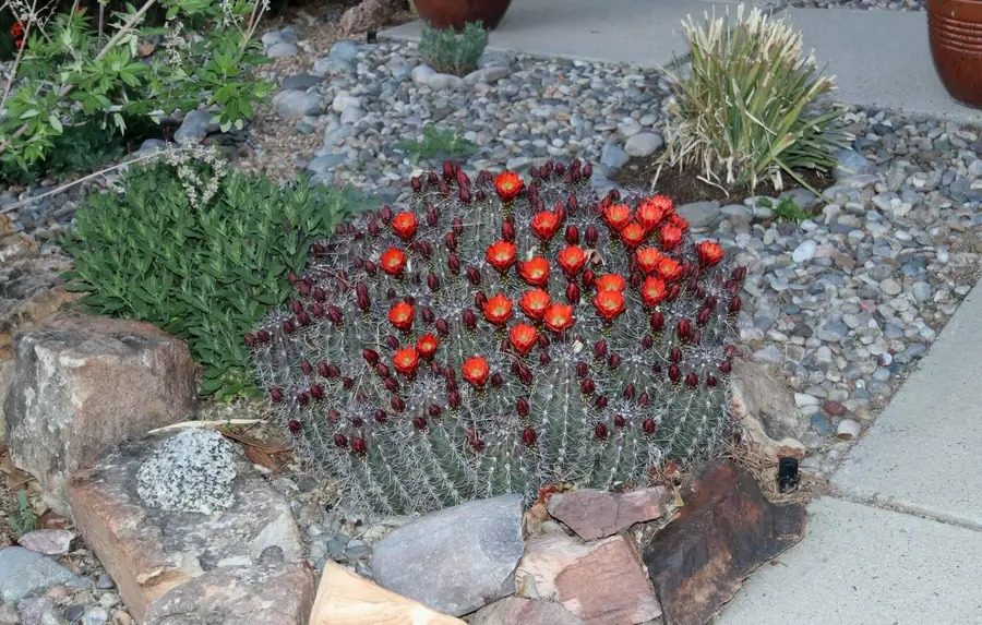 5214 Purcell Drive Ne, Albuquerque, NM 87111 - #2