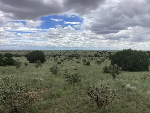 Mission Hills Rd Tract E Road #11041038406405000000, Estancia, NM 87016