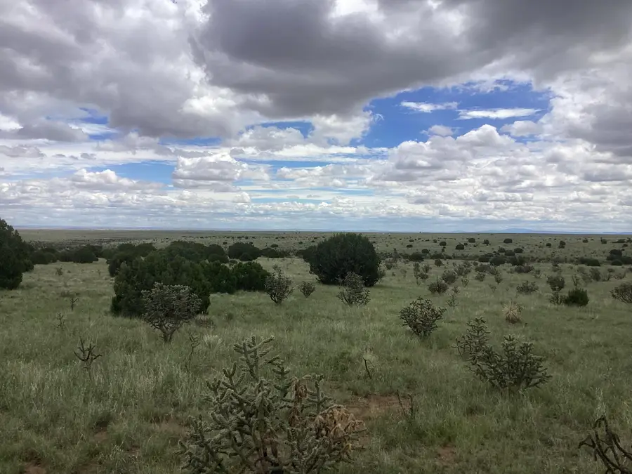 Mission Hills Rd Tract E #11041038406405000000, Estancia, NM 87016 - #2